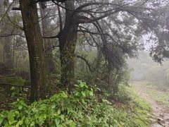 -南岳衡山风景名胜区