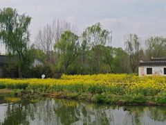 -溱湖国家湿地公园