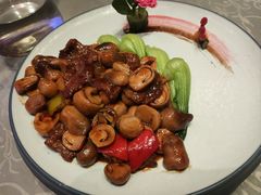 -天下春花园酒店(大东店)