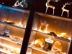 -新荣记(BFC外滩金融中心店)