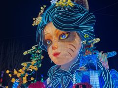 -淄博花灯齐彩城