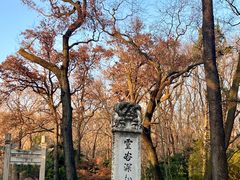 -灵谷景区