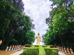 -西双版纳总佛寺