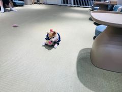 -逗柴咖啡屋·狗咖猫咖宠物桌游