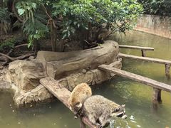 -长鹿旅游休博园