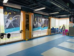 -北京众国际击剑俱乐部