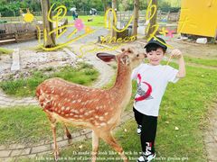 -上海长兴岛郊野公园