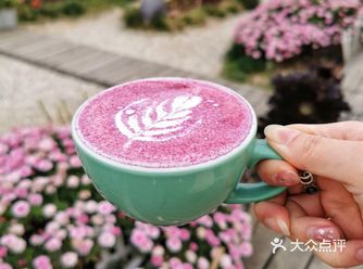 景色与食物～美得让人心动