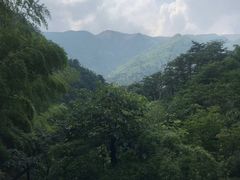 -藏龙百瀑风景区