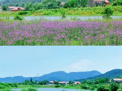 -九真山风景区