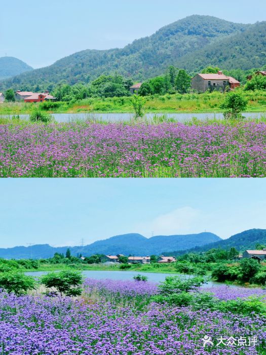 九真山风景区图片