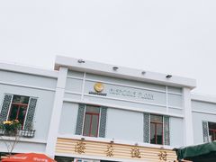 -大湾区中央湿地公园-十九涌