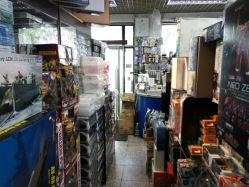 -新时模型(新街口店)