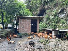 -途中饭店(开化店)