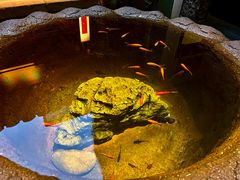 -31号公馆(黄兴广场白果园店)