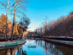 -白水寺森林公园