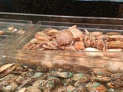 -浩运海鲜·16年专注青岛菜(石老人店)