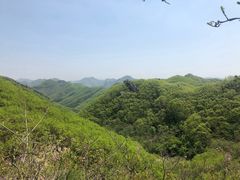 -大连天门山国家森林公园