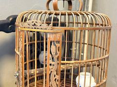 -得心斋(国瑞升平里店)