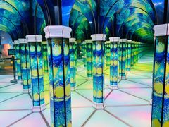 -天津梵高星空艺术馆(天河城旗舰店)