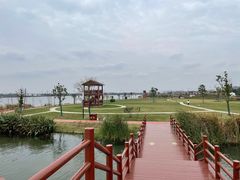 -鹅湖玫瑰文化园