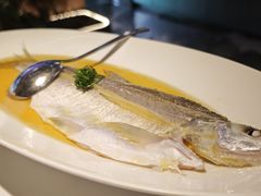 -桂满陇·锦绣江南(益田广场店)