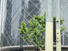 -盛邦国际大厦