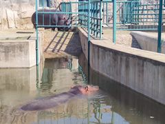 -哈尔滨北方森林动物园