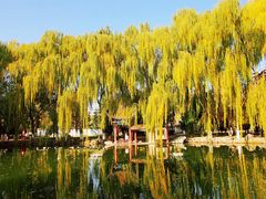 -高庙保安寺