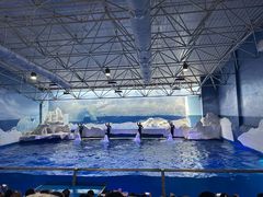 -秦皇岛乐岛海洋王国