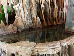 -天芳悦潭度假村温泉