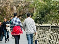 -福道