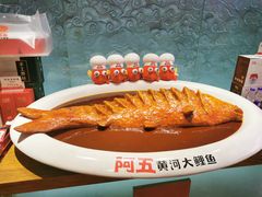 -阿五黄河大鲤鱼(英协路店)
