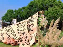 -沙家浜风景区