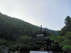 -旺山景区