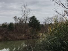 -白鹭湾湿地公园