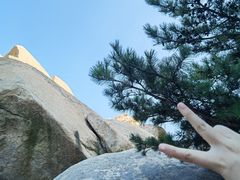-崂山巨峰游览区