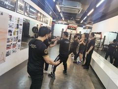 -温鉴良实用咏春拳