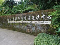 -深圳仙湖植物园