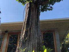 -Chom Cafe and Restaurant