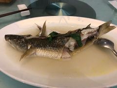 -壹零贰小馆(桂城石啃店)