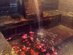 -北京美神宫艺术主题温泉酒店