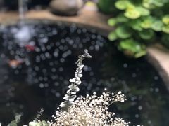 -大富贵烧烤公司(双廊店)