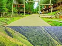 -苏木山森林公园