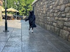 -哈利波特魔法世界