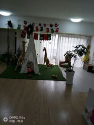 -蜜糖派儿童摄影(青建·太阳岛店)