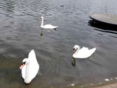 -海德公园
