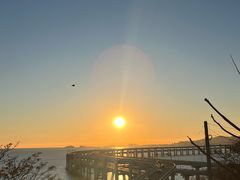 -星海湾跨海大桥