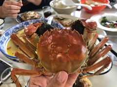 -七的湖·晚芳亭·阳澄湖农家菜·大闸蟹(莲花岛店)