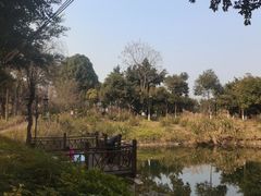 -大渡口区义渡公园